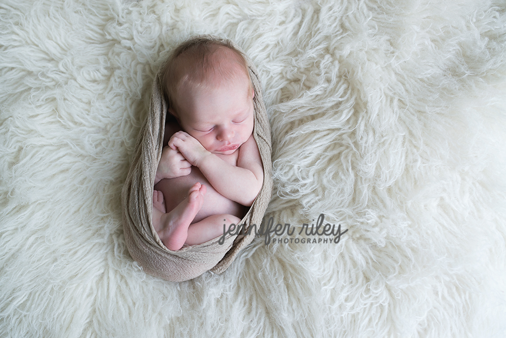 newborn-photographer-frederick-md (1)